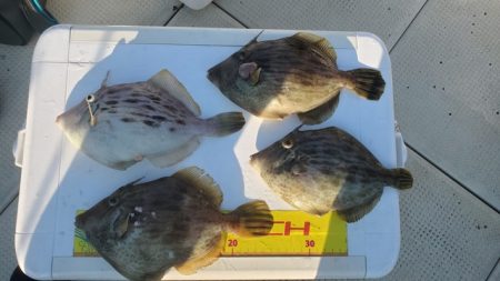 遊漁船　ニライカナイ 釣果