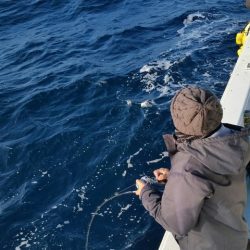 第五慶門丸 釣果