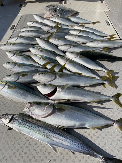 ミタチ丸 釣果