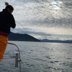 あみや渡船 JIGBOY 釣果