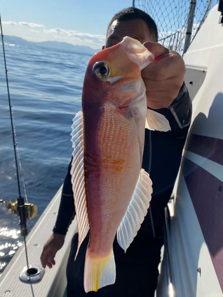 あみや渡船 JIGBOY 釣果