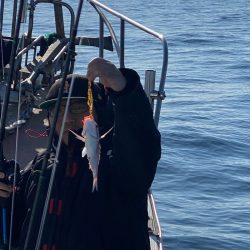 あみや渡船 JIGBOY 釣果