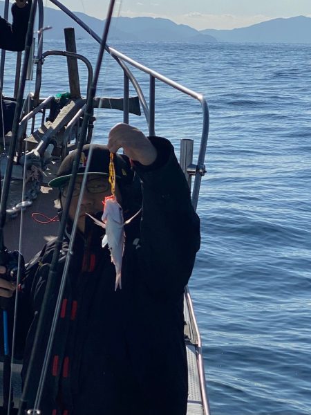 あみや渡船 JIGBOY 釣果