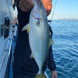 あみや渡船 JIGBOY 釣果