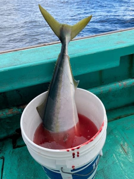 広進丸 釣果