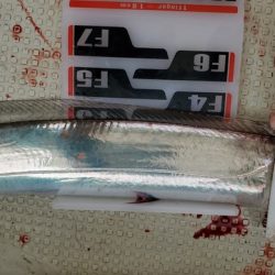 遊漁船 ニライカナイ 釣果