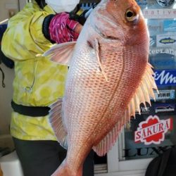 遊漁船 ニライカナイ 釣果