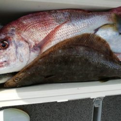 第二大福丸 釣果