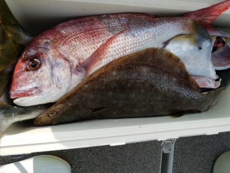 第二大福丸 釣果