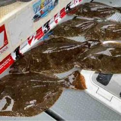 遊漁船 セトマリン 釣果