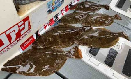 遊漁船 セトマリン 釣果