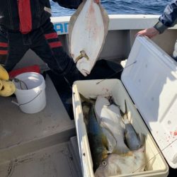 第八大安丸 釣果