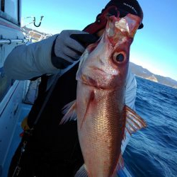 遊漁船みち丸・釣果