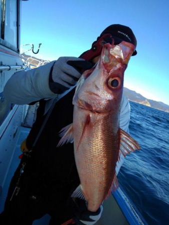 遊漁船みち丸・釣果