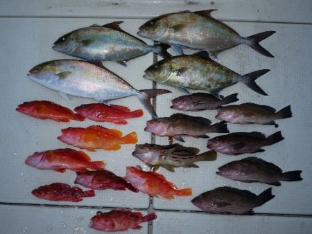 TOPGUN名古屋 釣果