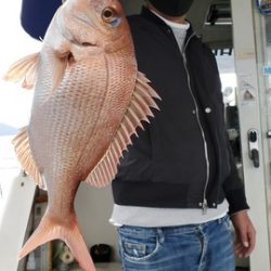 遊漁船　ニライカナイ 釣果