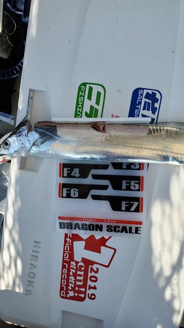 遊漁船 ニライカナイ 釣果