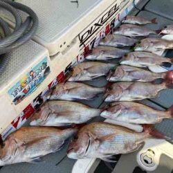 遊漁船 セトマリン 釣果