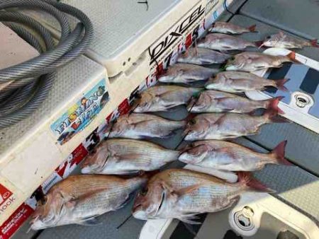 遊漁船 セトマリン 釣果