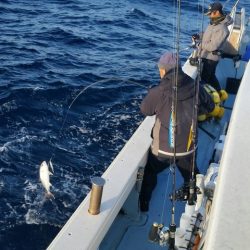 第五慶門丸 釣果