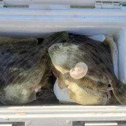 遊漁船 ニライカナイ 釣果