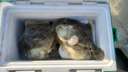 遊漁船 ニライカナイ 釣果