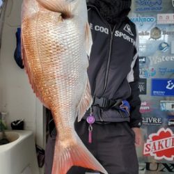 遊漁船　ニライカナイ 釣果