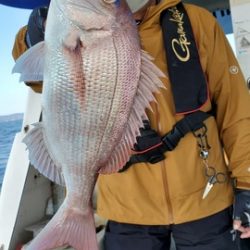 遊漁船 ニライカナイ 釣果