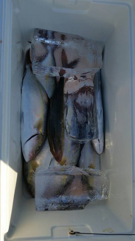 第五慶門丸 釣果