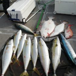 第二大福丸 釣果