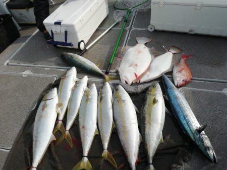 第二大福丸 釣果