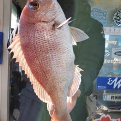 遊漁船 ニライカナイ 釣果