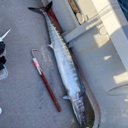 へいみつ丸 釣果