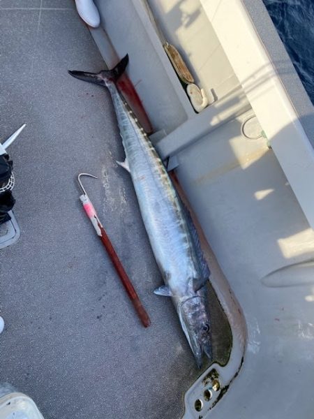 へいみつ丸 釣果