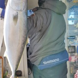 遊漁船 ニライカナイ 釣果