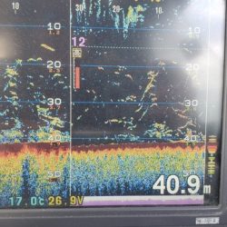 遊漁船 ニライカナイ 釣果