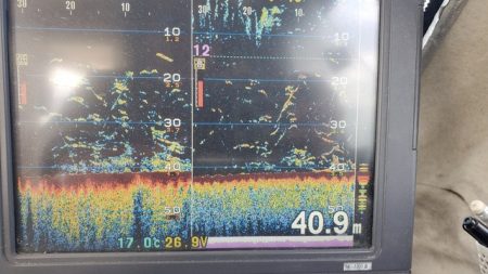 遊漁船 ニライカナイ 釣果