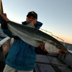 ファイヤードルフィン 釣果