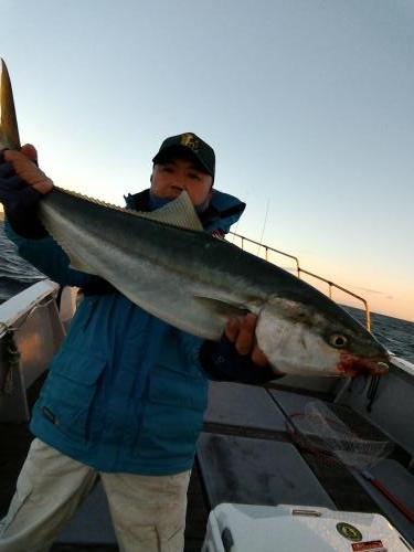 ファイヤードルフィン 釣果