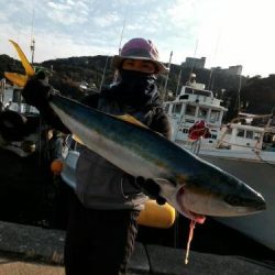 ファイヤードルフィン 釣果