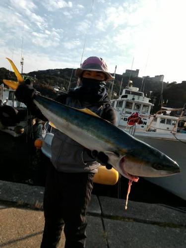 ファイヤードルフィン 釣果