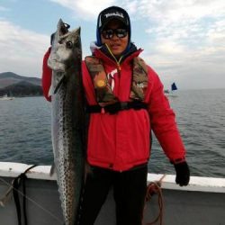 ファイヤードルフィン 釣果