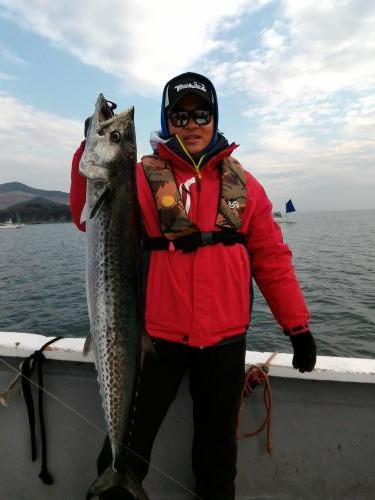 ファイヤードルフィン 釣果