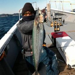 ファイヤードルフィン 釣果