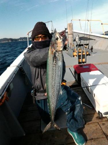 ファイヤードルフィン 釣果