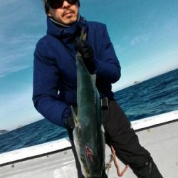 ファイヤードルフィン 釣果