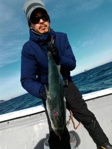 ファイヤードルフィン 釣果