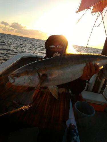 ファイヤードルフィン 釣果