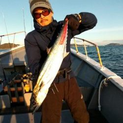 ファイヤードルフィン 釣果