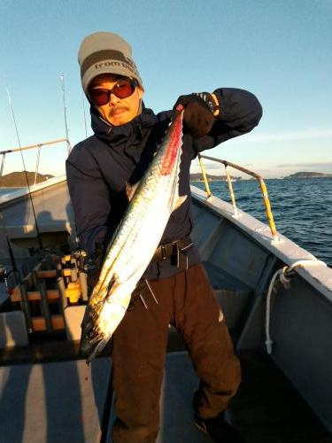 ファイヤードルフィン 釣果